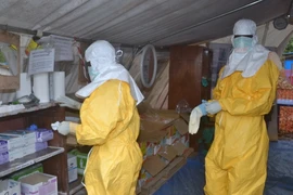 Nhân viên y tế Guinea làm việc tại trung tâm chữa trị Ebola Donka ở thủ đô Conakry ngày 8/12. (Nguồn: AFP/TTXVN)