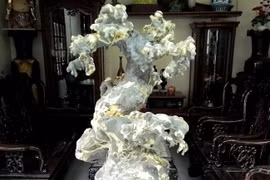 Một mẫu cây bonsai đá. (Nguồn: Báo Ảnh Việt Nam)