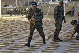 Cảnh sát Bolivia và số cần sa thu giữ ở Tarija. (Nguồn: AFP/TTXVN)