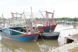 Tàu thuyền neo đậu tránh bão tại âu cảng Mắt Rồng, xã Lập Lễ, huyện Thủy Nguyên, Hải Phòng. (Ảnh: Lâm Khánh/TTXVN)