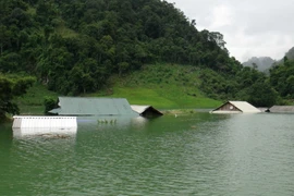 Nhiều nhà dân trong bản Phiêng Luông bị ngập tới nóc. (Ảnh: Công Luật/TTXVN)