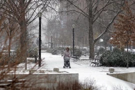 Mỹ: 5 người chết vì tai nạn giao thông trong đợt rét bất thường