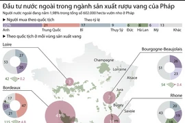 (Nguồn: Vietnam+)