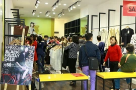 (Ảnh: Hoàng Hùng/TTXVN)