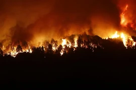 Ảnh minh họa. (Nguồn: AFP/TTXVN)