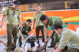 Vinh danh 7 cá nhân tích cực bảo vệ các loài động vật hoang dã 