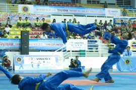 (Ảnh: Hải Âu/TTXVN)