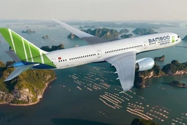 Bamboo Airways chính thức nhận được quyền bay thương mại. (Nguồn: Tập đoàn FLC)