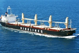 Vinalines luôn phải đi đều ‘hai chân’ vừa phục hồi hoạt động sản xuất, kinh doanh vừa tái cơ cấu nợ. (Nguồn ảnh: Vinalines)