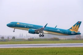 Máy bay của hãng hàng không Vietnam Airlines. (Ảnh: CTV.Vietnam+)