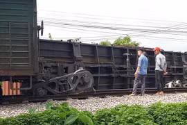 Hiện trường sự cố tàu hàng trật bánh tại khu gian Đặng Xá-Nam Định. (Ảnh: Câu lạc bộ đam mê đường sắt)