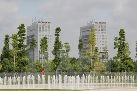 Ảnh minh họa. (Nguồn: TTXVN)