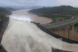 Ảnh minh họa. (Nguồn: TTXVN)