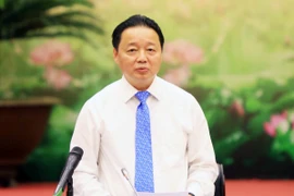 Cá chết tại vùng biển miền Trung. (Nguồn ảnh: TTXVN)