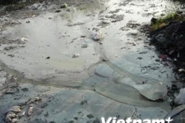 Ảnh chỉ có tính chất minh họa. (Nguồn: Vietnam+) 