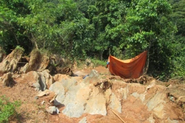 Ảnh minh họa. (Nguồn: PV/Vietnam+)