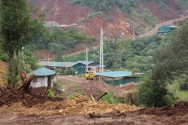 Ảnh minh họa. (Nguồn: Hùng Võ/Vietnam+)