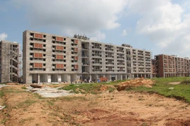 Ảnh minh họa. (Nguồn: TTXVN) 