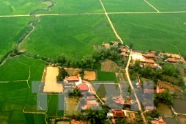 Tăng cường quản lý, đánh giá đất đai theo định kỳ. (Nguồn ảnh: TTXVN)