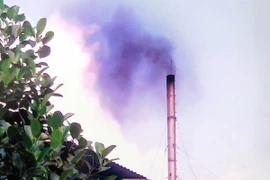 Ảnh minh họa. (Nguồn: TTXVN)