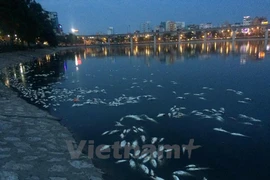 Ảnh minh họa. (Minh Sơn/Vietnam+) 