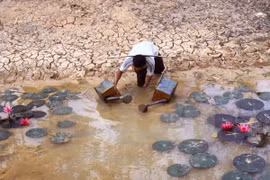 Ảnh minh họa. (Nguồn: TTXVN)