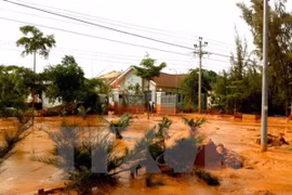 Ảnh minh họa. (Nguồn: TTXVN)
