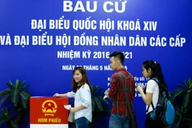 Sinh viên Trường Đại học Khoa học, Xã hội và Nhân văn tham gia bầu cử. (Ảnh: Minh Chiến/Vietnam+)