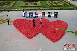 Chàng trai "gây sốc" khi sử dụng tới 99.999 quả ớt để tỏ tình