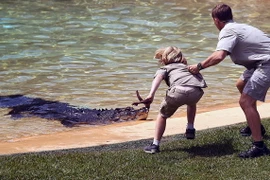 Cậu bé 10 tuổi liều mạng đối mặt với con cá sấu hung tợn