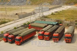 Cửa khẩu Quốc gia Thanh Thủy nhộn nhịp dịp đầu năm