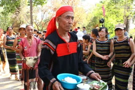 Những bức ảnh quý giá của tác giả người Pháp về Tây Nguyên