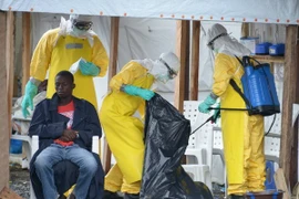 Số ca nhiễm mới và tử vong do virus Ebola đang tăng mạnh