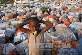 Ảnh minh họa. (Nguồn: AFP/TTXVN)