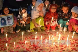 Ảnh minh họa. (Nguồn: THX/TTXVN)