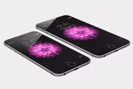 Cận cảnh 2 mẫu điện thoại màn hình lớn, camera "khủng" của Apple