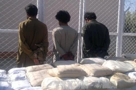 Ảnh minh họa. (Nguồn: THX/TTXVN)