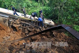 Ảnh minh họa. (Nguồn: AFP/TTXVN)