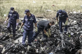 Bộ trưởng Quốc phòng Malaysia tới Kiev lo việc điều tra MH17