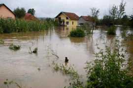 Lũ lụt nghiêm trọng ở Serbia và Bosnia, hàng trăm người mất nhà 