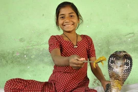 Cuộc sống nguy hiểm của cô bé thích làm bạn với rắn hổ mang 