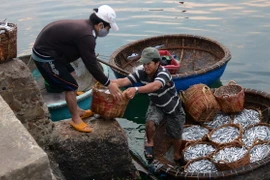 Tuổi trẻ khối doanh nghiệp hướng về biển đảo quê hương