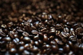 Sản lượng càphê của Brazil trong năm 2014 có thể giảm