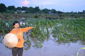 Bồi thường cho người dân bị ảnh hưởng bởi thủy điện Sêrêpốk 4A 