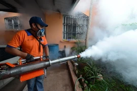 Phát hiện bệnh nhân sốt xuất huyết đầu tiên ở Nhật sau 70 năm