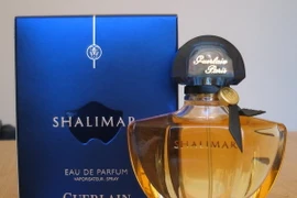 Những loại nước hoa nào được mọi người ưa chuộng nhất?