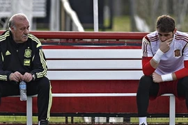 Del Bosque bênh vực Iker Casillas trước búa rìu dư luận