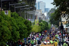 [Photo] Tấm thảm hoa dài nhất thế giới tại Guatemala