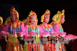 Ảnh minh họa. (Nguồn: TTXVN)