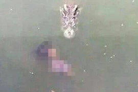 Người phụ nữ nhảy vào hồ có hơn 1.000 con cá sấu để tự sát